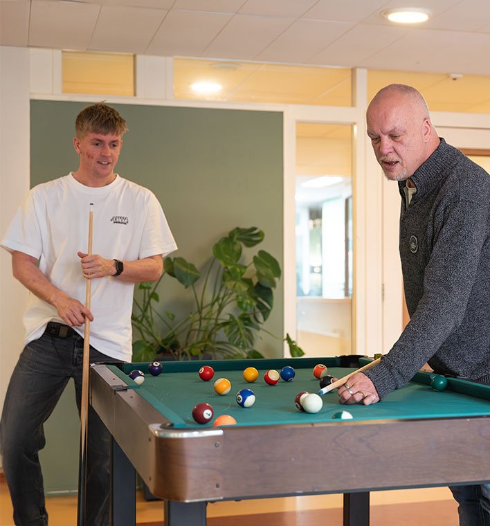 De-Bruggen woonlocatie biljart